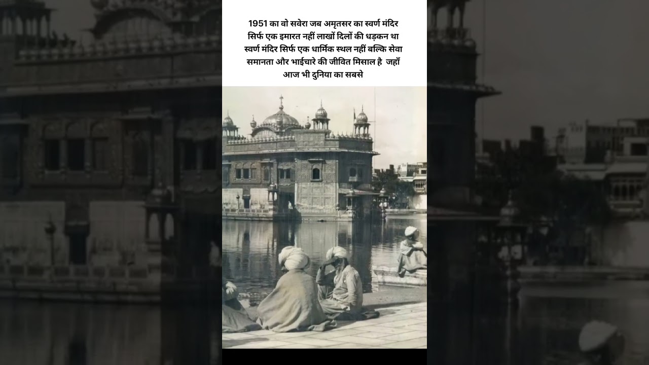 धड़कता स्वर्ण सवेरा ✨#स्वर्णमंदिर #अमृतसर #सेवा #Short