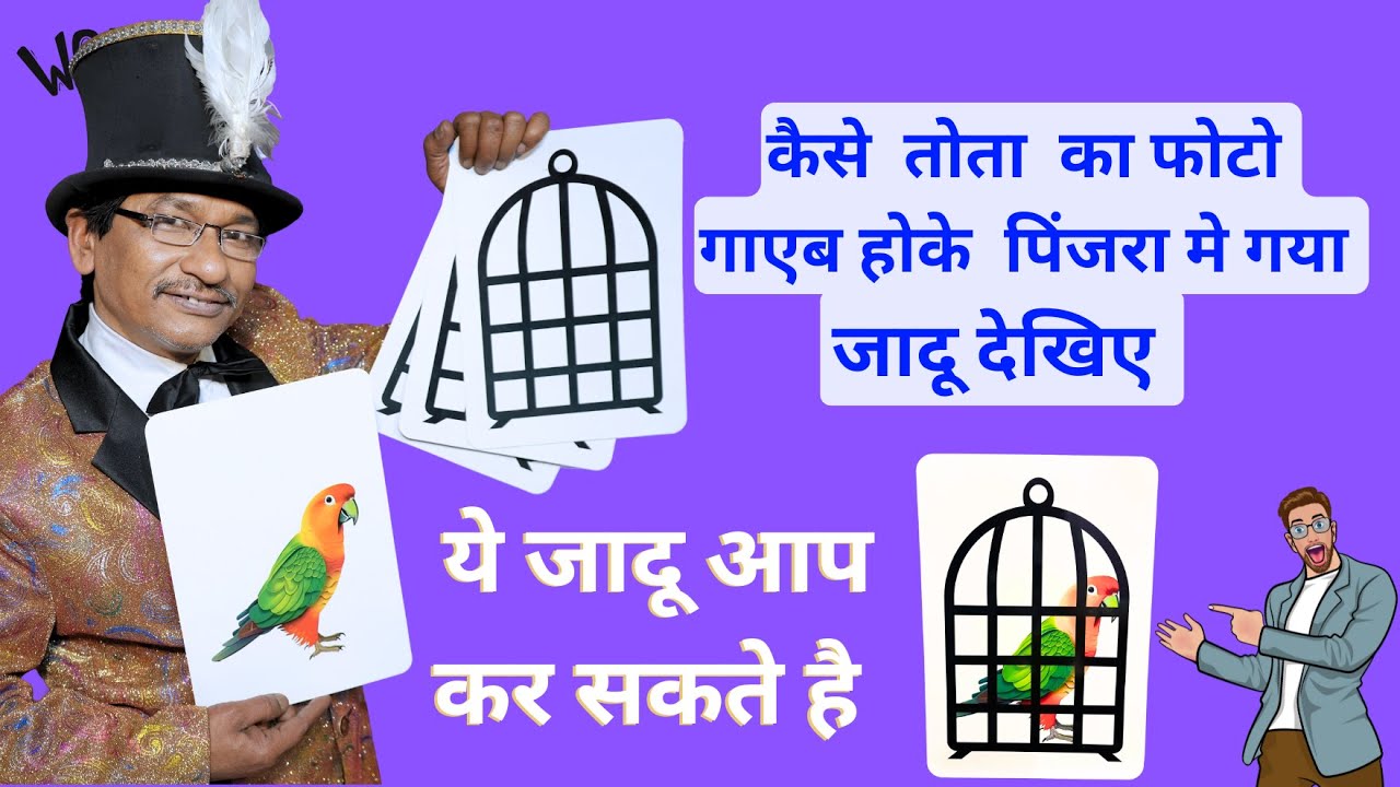 JUMPING PICTURE PARROTकैसे तोता का फोटो  पिंगर मे गया/JADU DUKAN/PANDITMAGICSHOP/MKPANDIT/9934607159