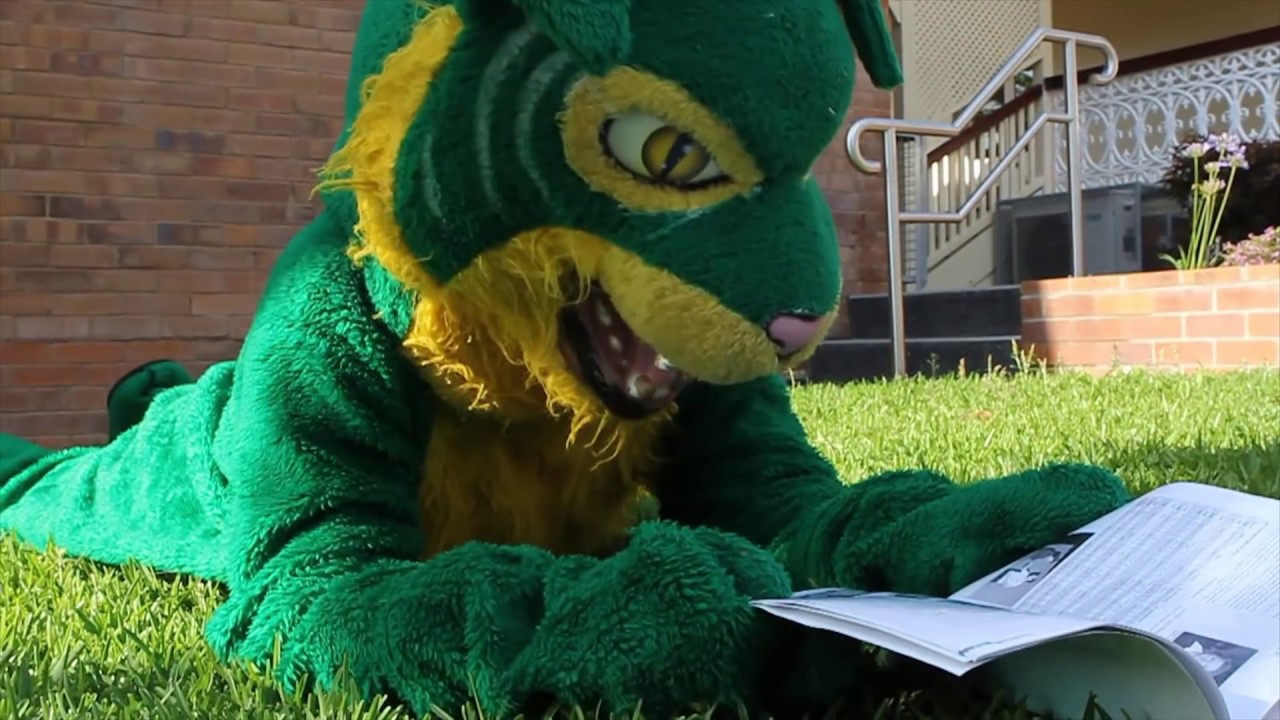 Villanova College 2014 Senior Video