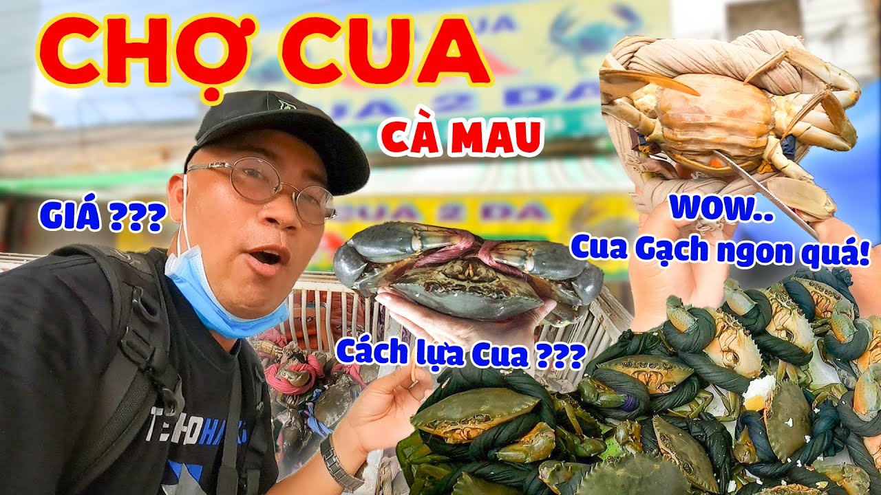 Đột nhập XÓM CUA CÀ MAU phát hiện ra VỰA CUA ngon LOẠI 1 GIÁ CHUẨN