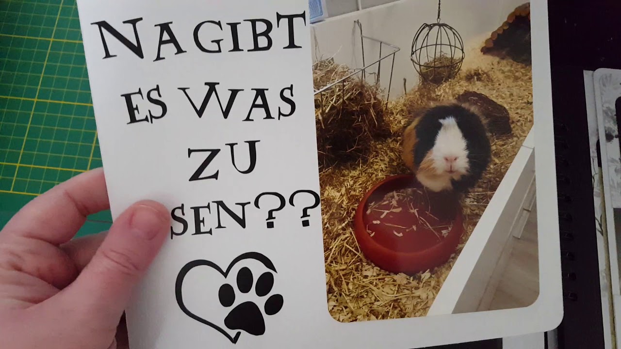 Ich zeig euch eine Herzens Sache *Album für meinen Verstorben Flecky-Flitzer*