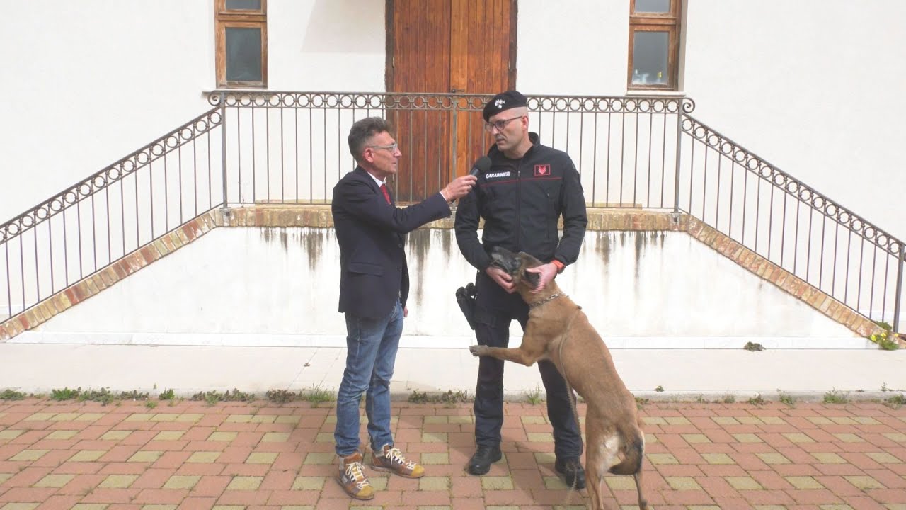 LUCI SULLA CITTÀ - NUCLEO CINOFILI CARABINIERI PALERMO