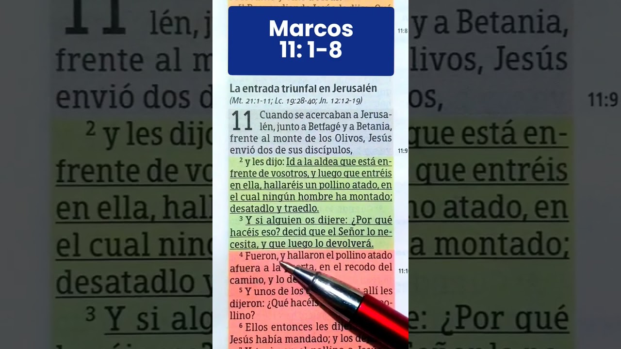 #audiobiblia #lecturab&iacute;blica #videocristiano #videoscristianos Marcos 11:1-8