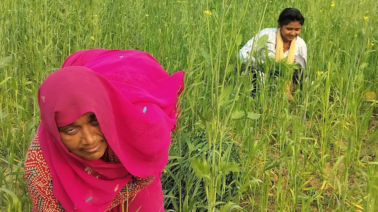 शिवनंदनी बहन के पास कितनी जमीन है आज मैंने देखा