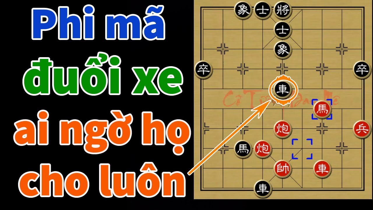 Ván Cờ Tướng Tuyệt Sát Đã Mắt Đầy Cảm Xúc Giữa Những Nhất Lưu Cao Thủ