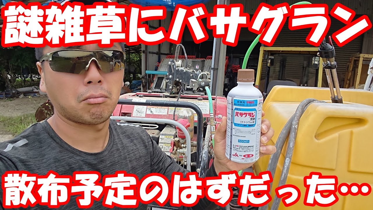 意気揚々とバサグラン液剤を購入するまでは良かったものの…