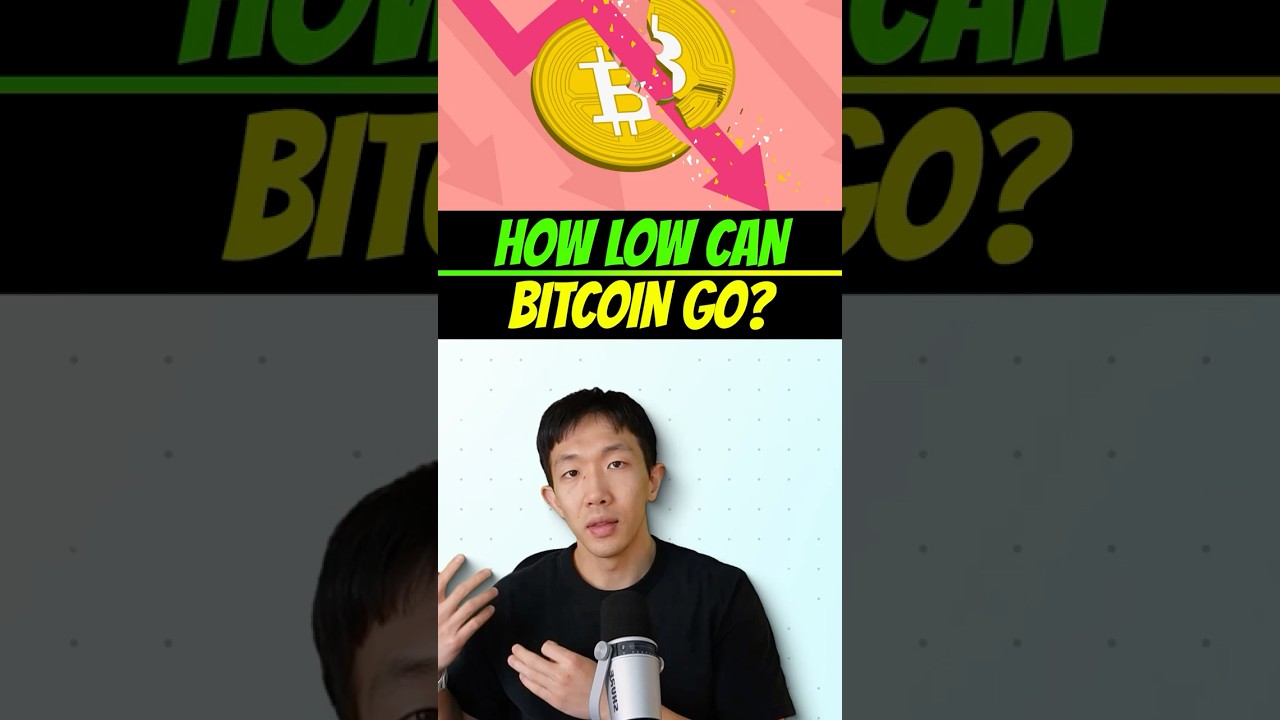 How low can Bitcoin&rsquo;s price go? #bitcoin #crypto #investing