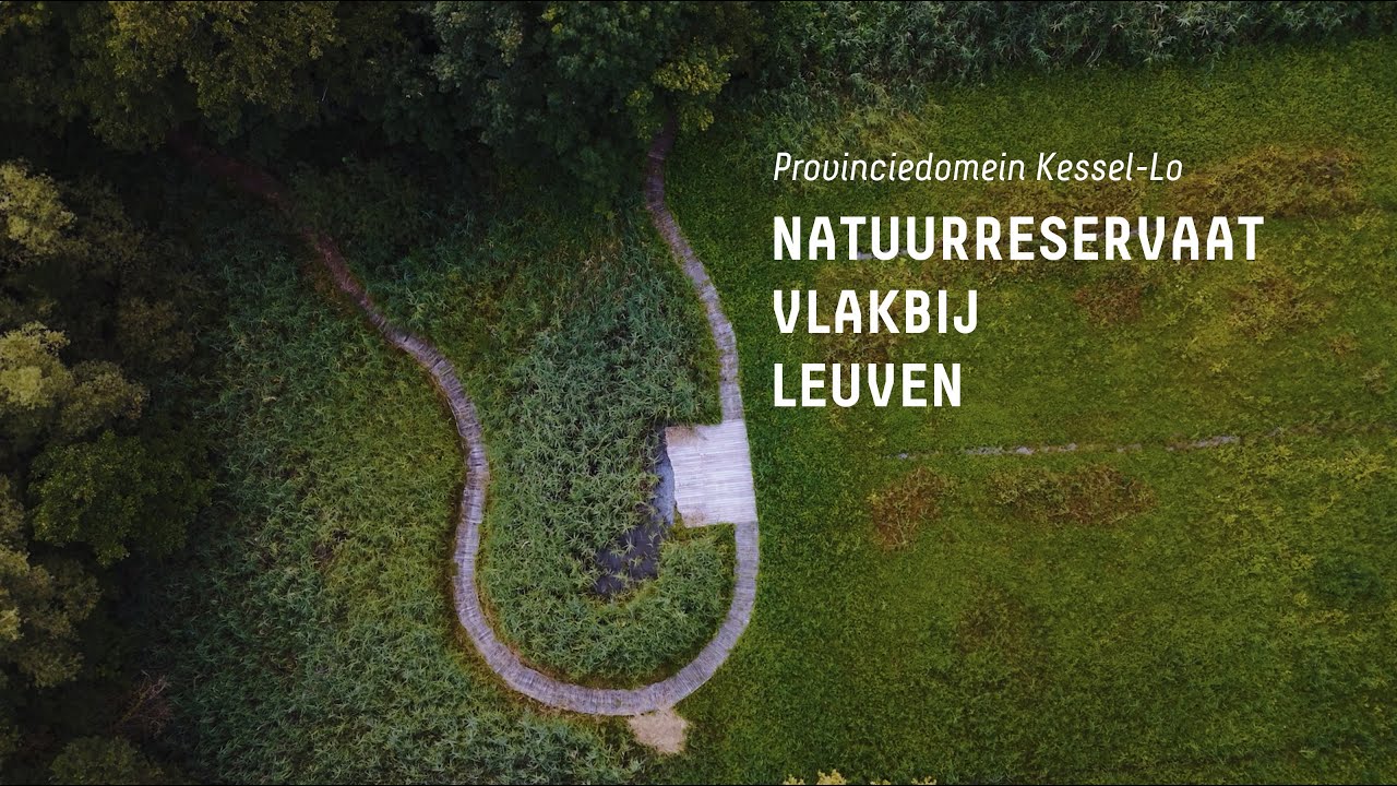 Provinciedomein Kessel-Lo krijgt titel 'natuurreservaat'