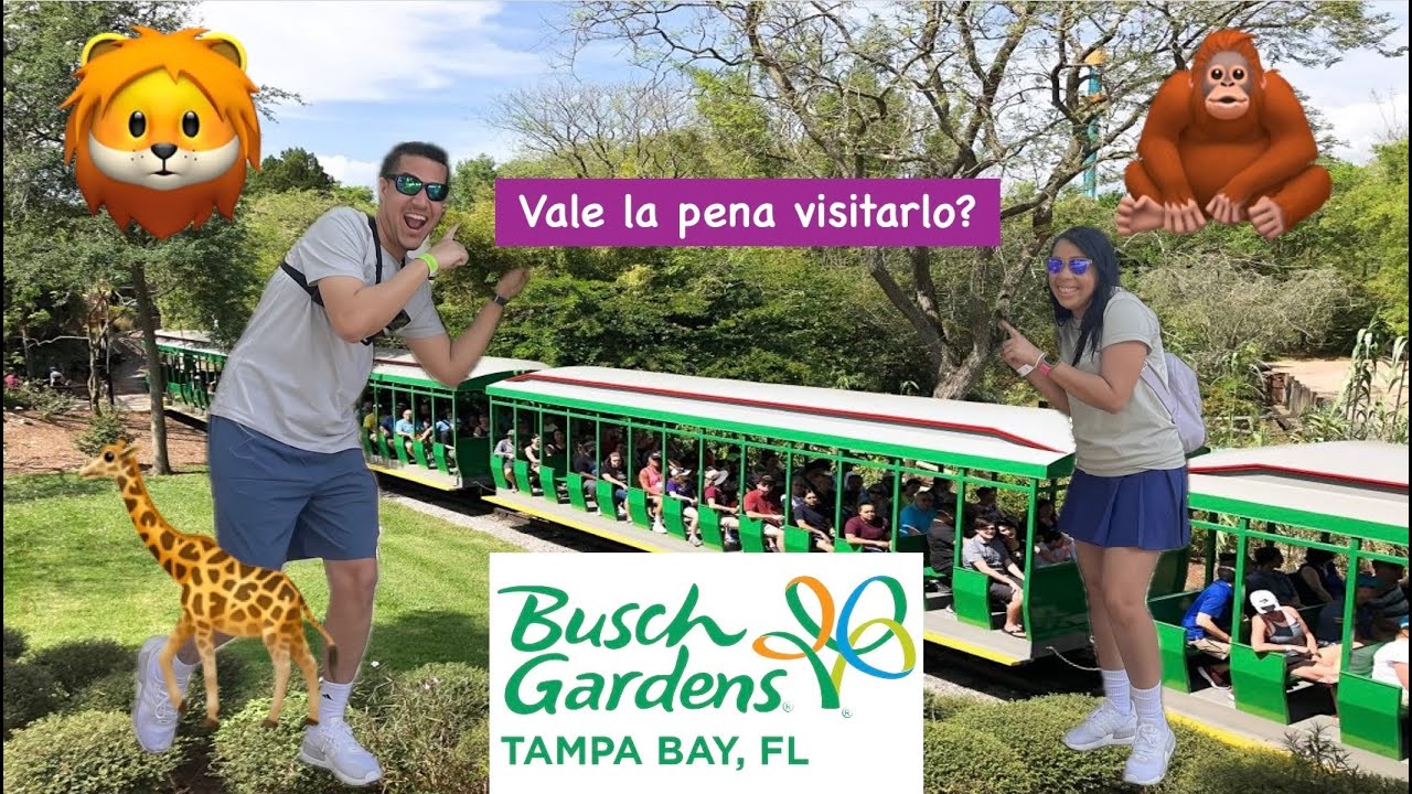Busch Gardens 2024🎢 Vale la pena visitar esta parque? 🦒🦁 Será uno de los mejores parques a visitar?🚞