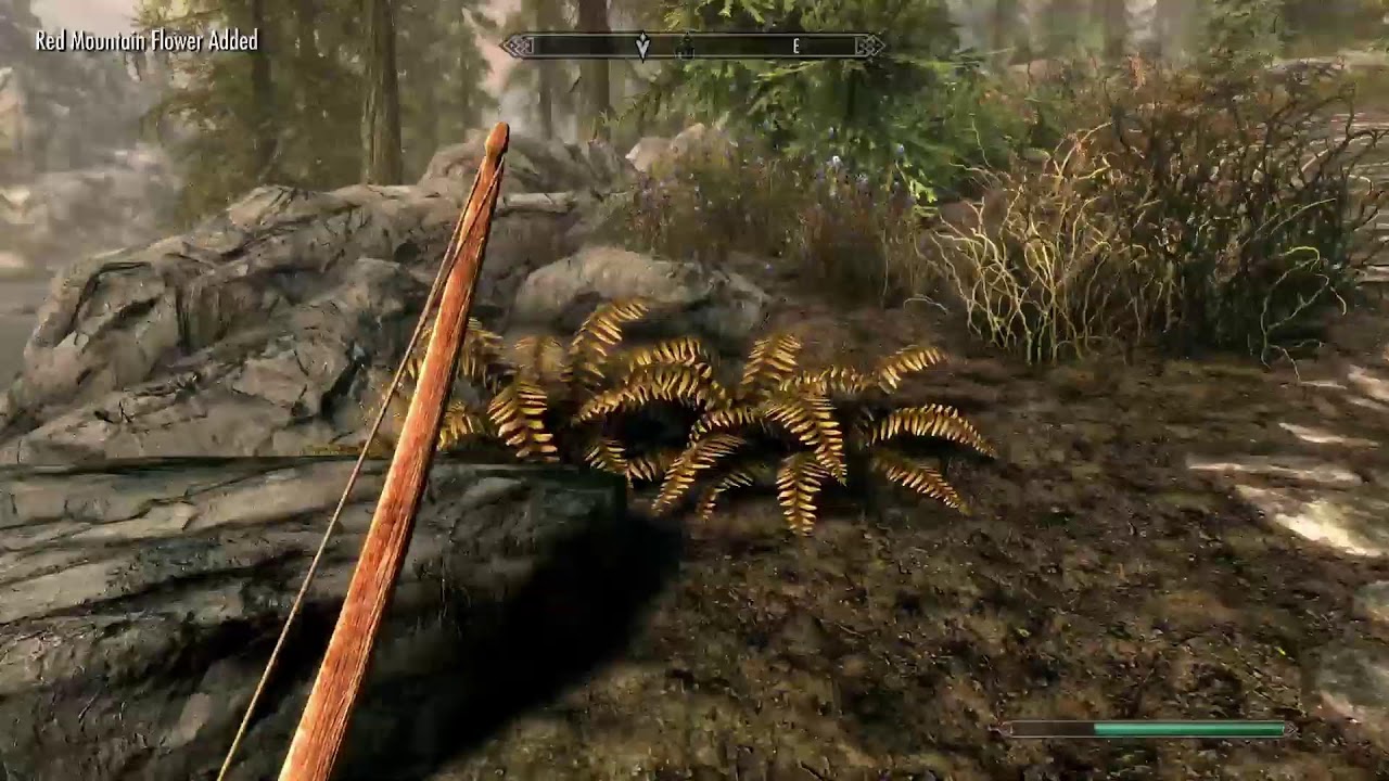 Skyrim