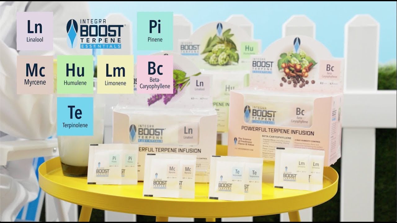 Integra Boost Terpene Essentials: Q&A