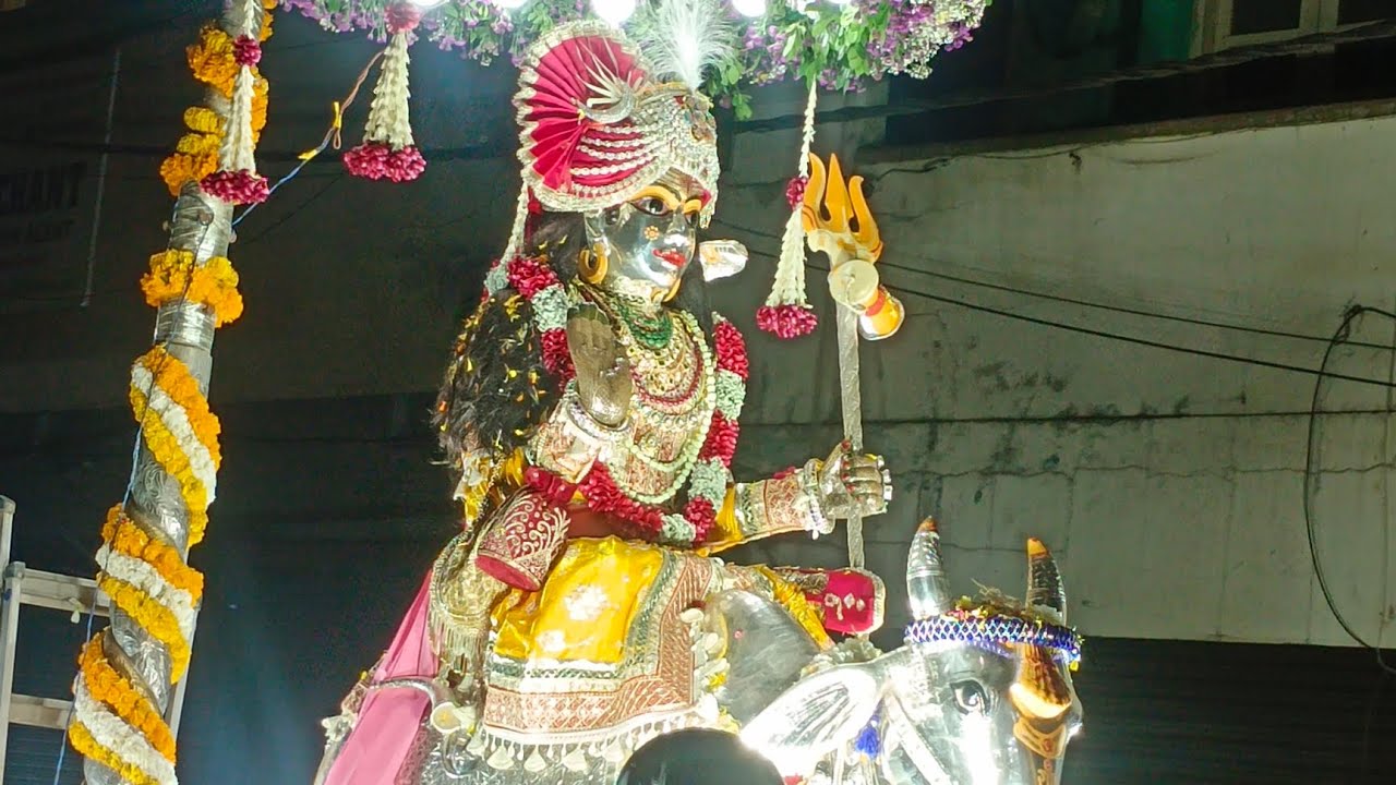 आज हम लोग शिव बारात देखने के लिए गए हैं, #shiv 