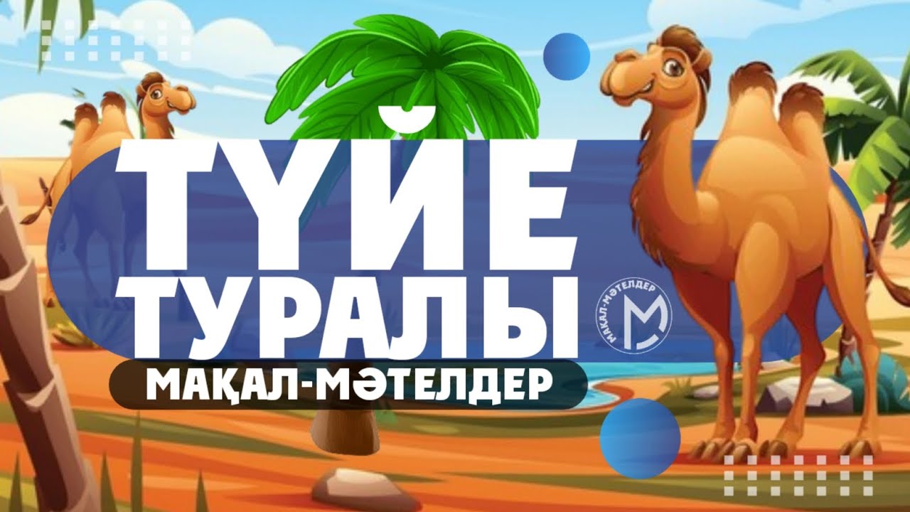 Түйе туралы мақал - мәтелдер