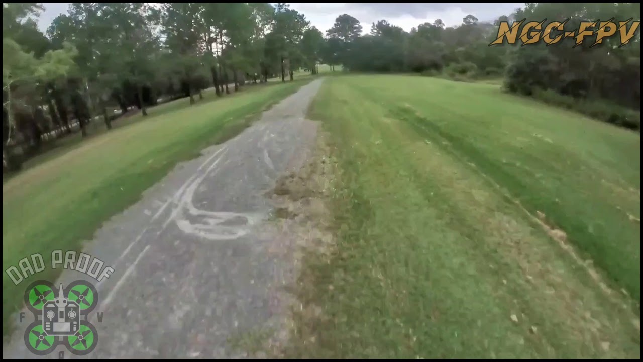 Playing in the pinecones #fpvfreestyle #insta360go #NGC-FPV