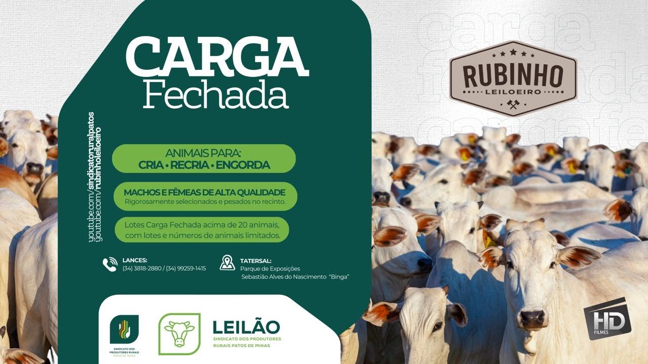 11º Leilão Especial Carga fechada - Sindicato Rural de Patos de Minas - 14/03/2026