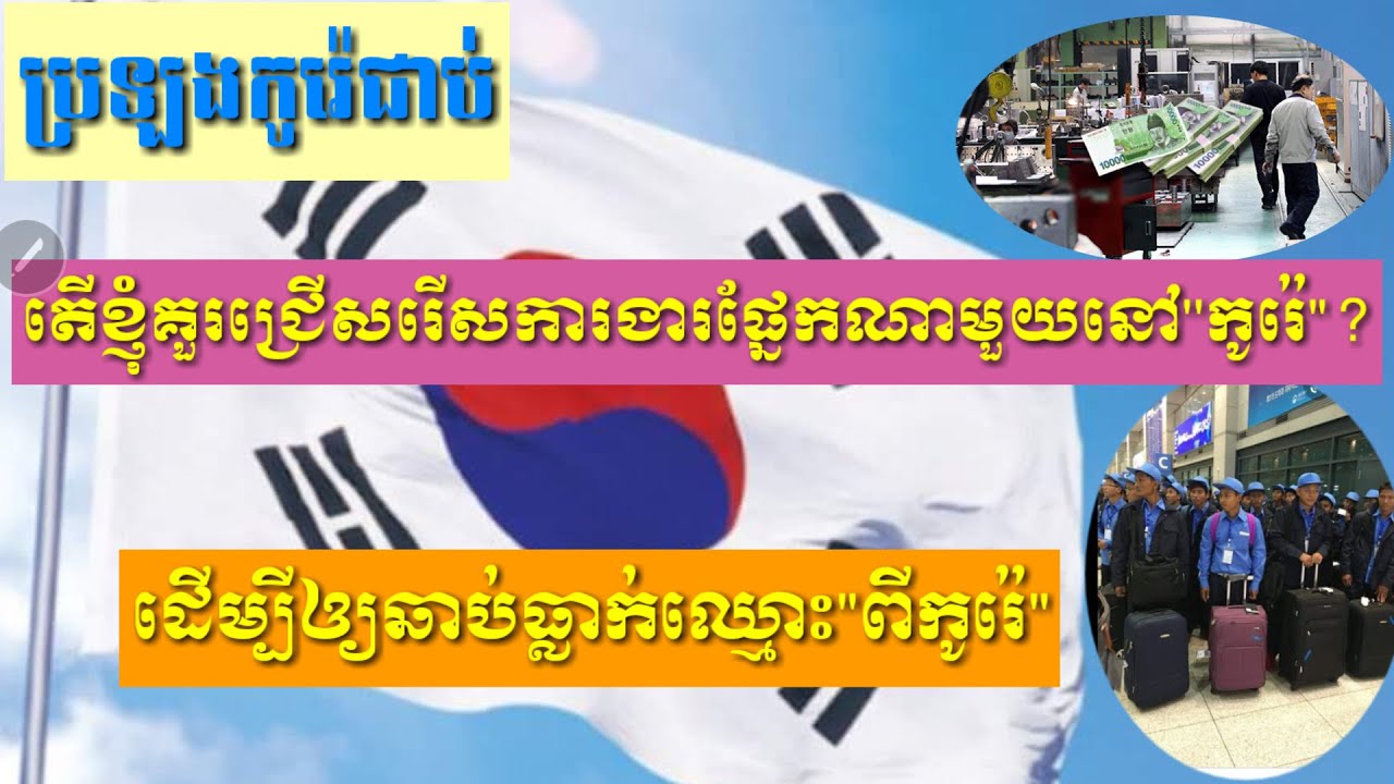 តើខ្ញុំគួរជ្រើសរើសការងារផ្នែកណាមួយដើម្បីឲ្យឆាប់ធ្លាក់ឈ្មោះពីកូរ៉េ?