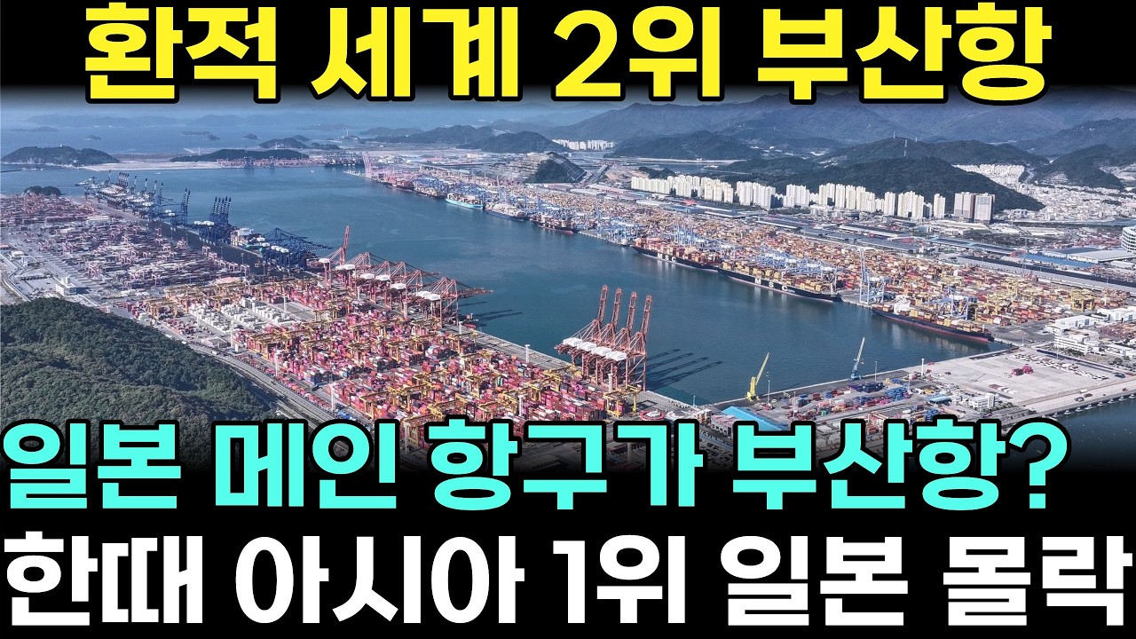 세계 2위 환적 허브 부산항의 위엄과 일본 항구가 쫄딱 망한 진짜 이유