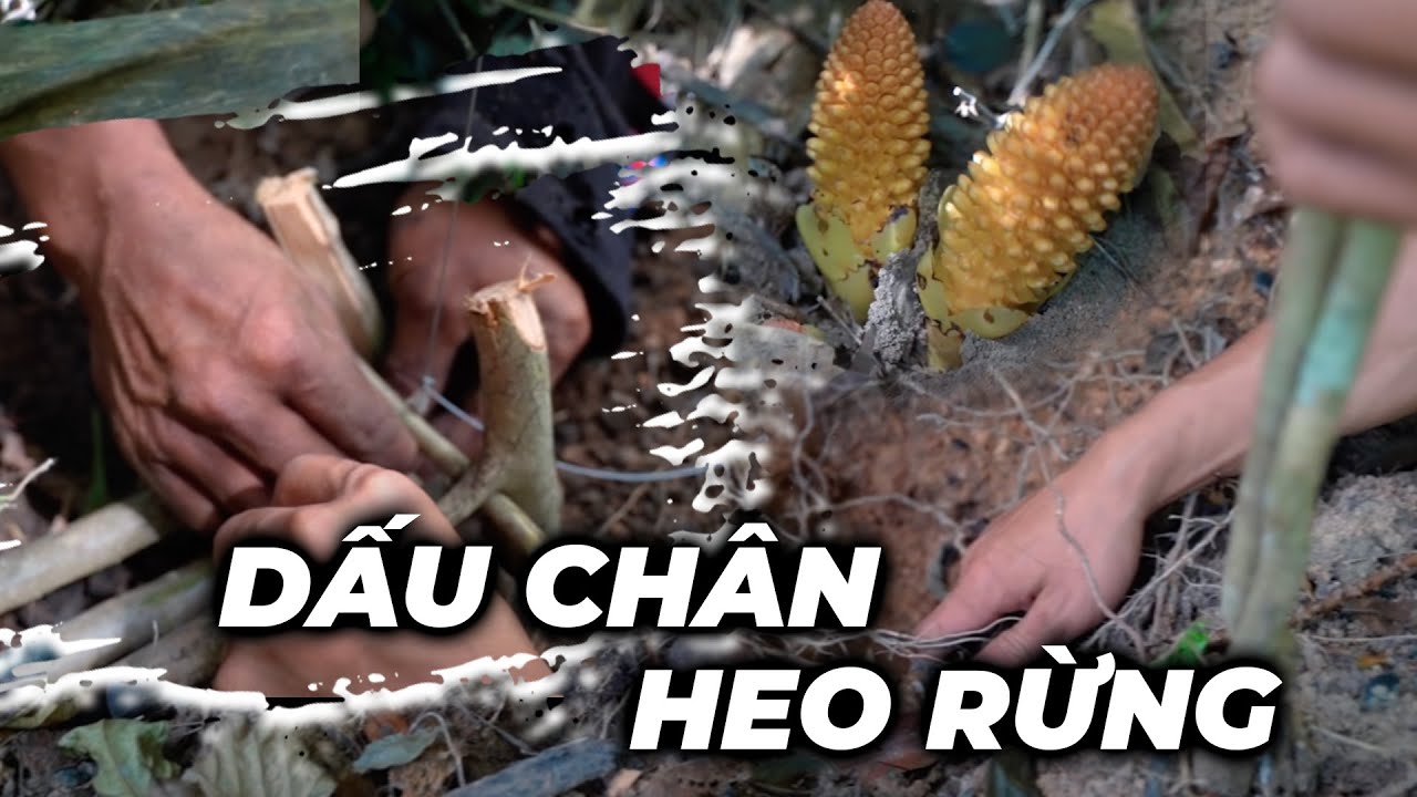 THỬ TH&Aacute;CH SINH TỒN TR&Ecirc;N RỪNG TẬP 3 | PH&Aacute;T HIỆN HEO RỪNG| SURVIVAL IN THE FOREST