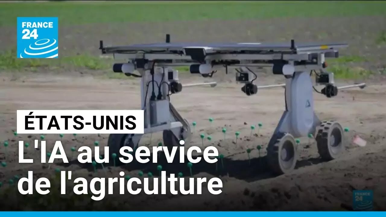 États-Unis : l'intelligence artificielle au service de l'agriculture • FRANCE 24