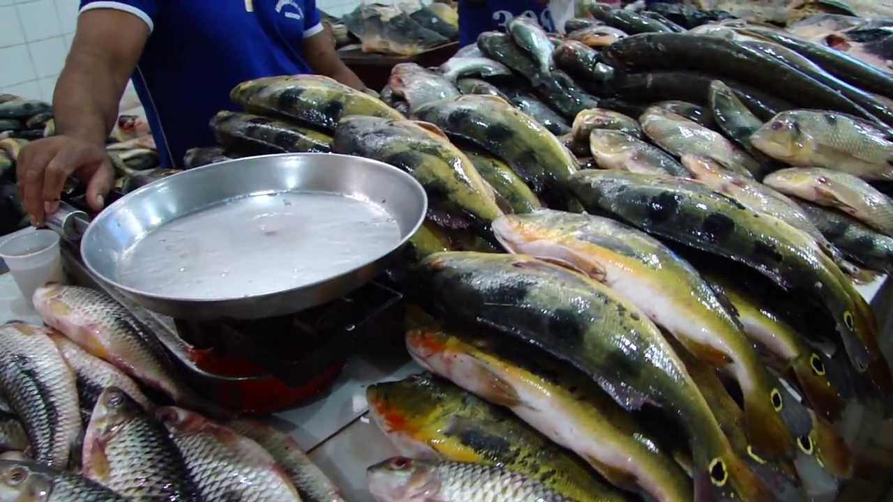 MERCADO DE PEIXE,EM TEFÉ - AMAZÔNIA