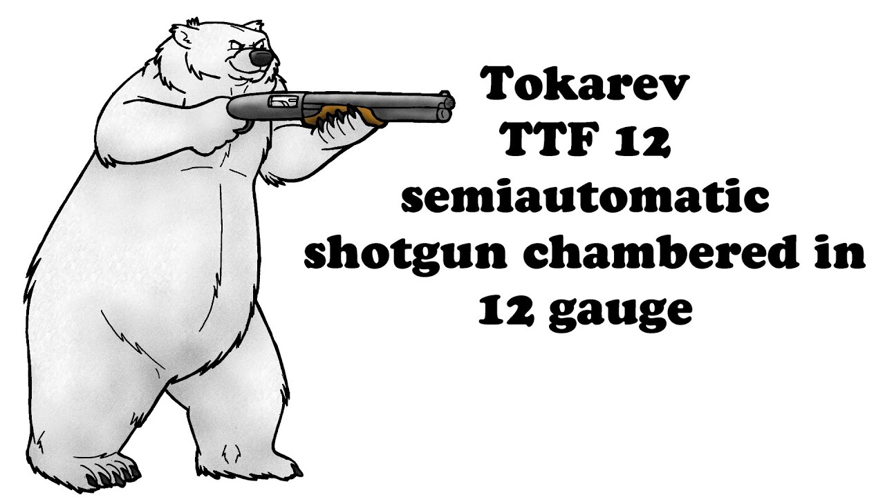 Tokarev TTF 12 Gauge