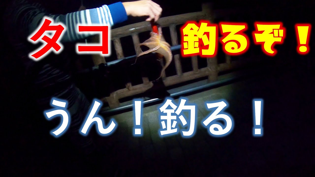 タコを釣る！タコを釣るんだ！　広島県　2021年7月31日釣行　100種釣りチャレンジ中！40/100