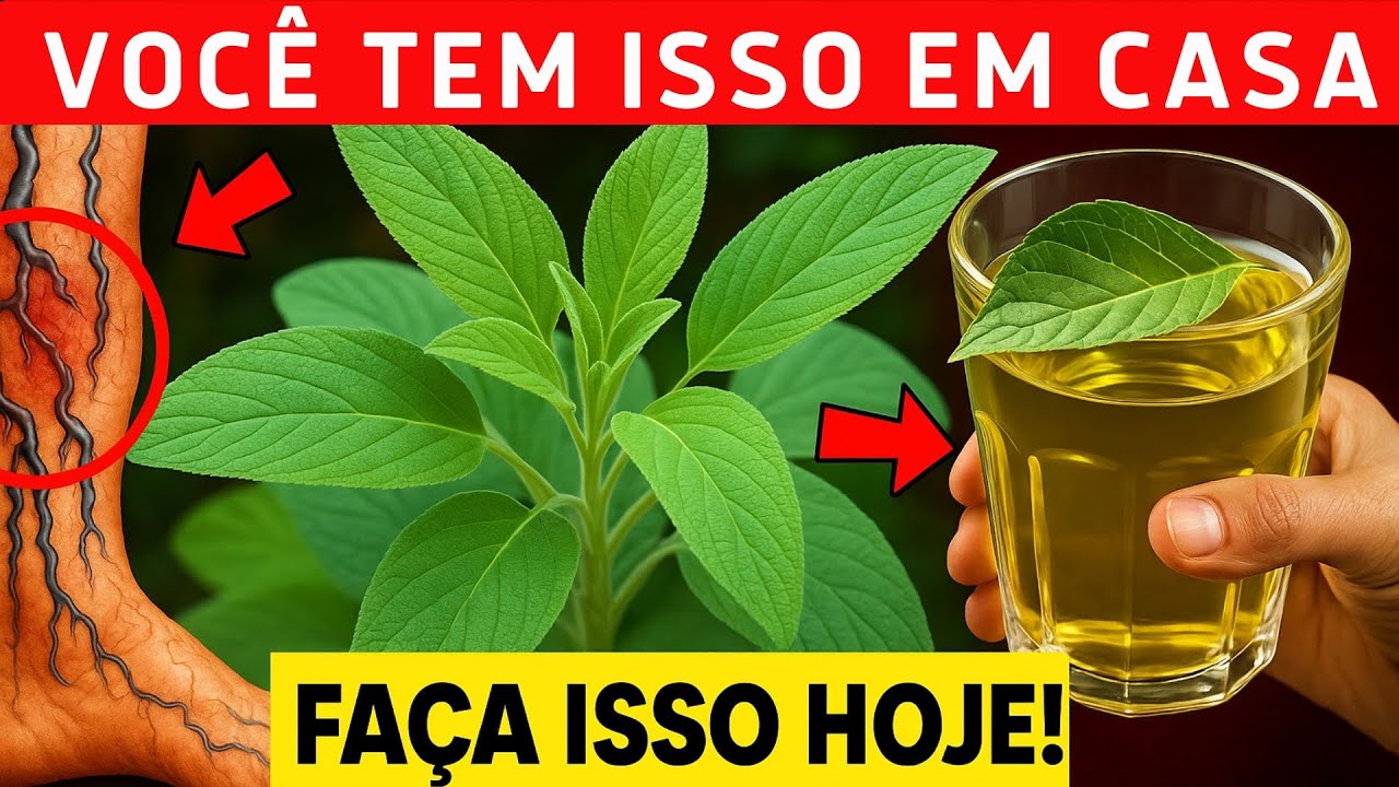 Este CH&Aacute; BARATO reconstr&oacute;i seus M&Uacute;SCULOS e REGENERA SUA CIRCULA&Ccedil;&Atilde;O | Vida Saud&aacute;vel