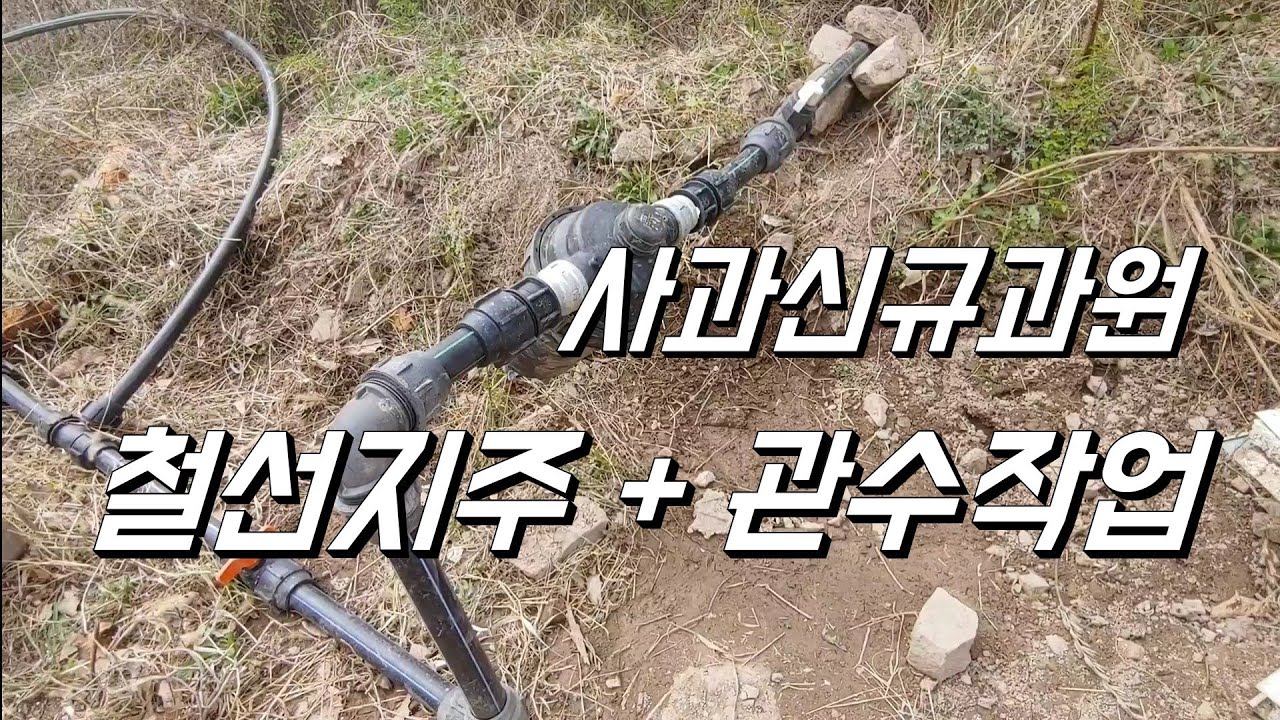 사과 신규과원 어떻게 할까요? 철선. 관수 나홀로 작업/ 스프링쿨러 vs 점적호스/ 압력보상형점적 vs 일반점적호스