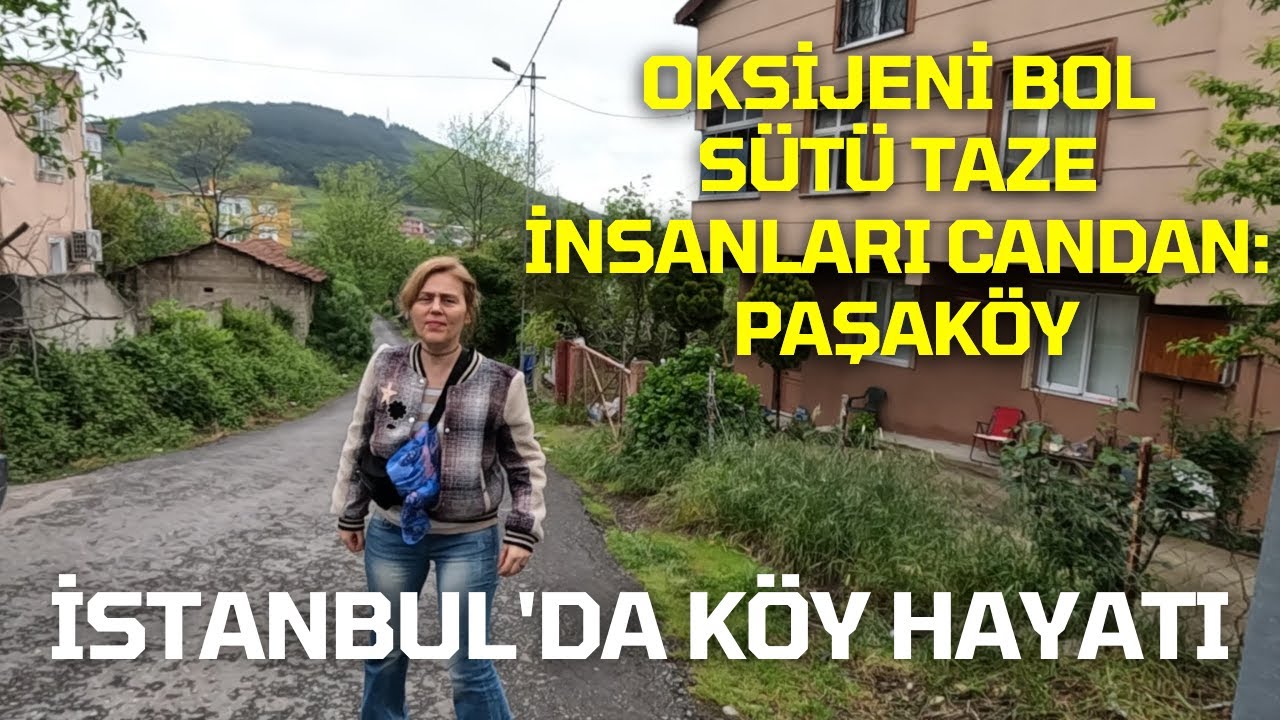 İSTANBUL'DA KÖY HAYATI - MİS GİBİ DAĞ HAVASI - SELANİK GÖÇMENİ TÜRKLERİN YURDU : PAŞAKÖY SANCAKTEPE