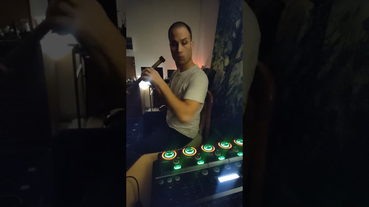Didgeridoo, handpan 432hz boss rc505 