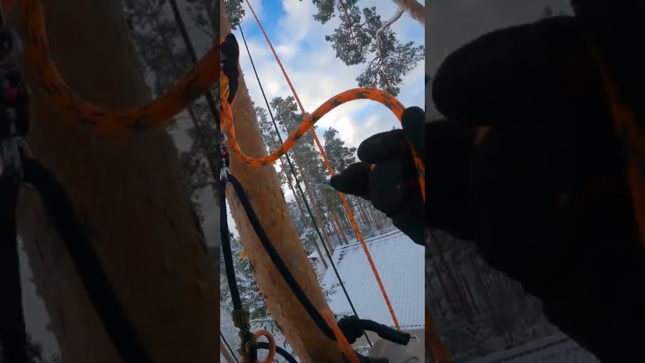 🔥Petzl Zillon Srt🔥