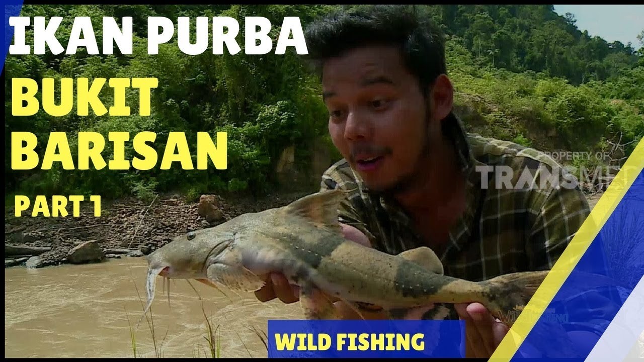 JEJAK PETUALANG | IKAN PURBA BUKIT BARISAN (03/01/18) 1-3