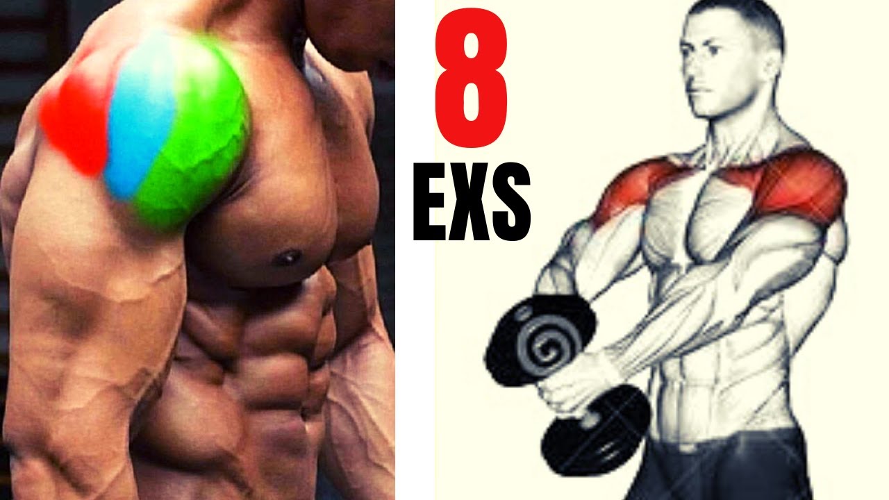 8 BEST SHOULDERS EXERCICES  WITH DUMBELLS / Meilleurs exercices &eacute;paules avec halt&egrave;res