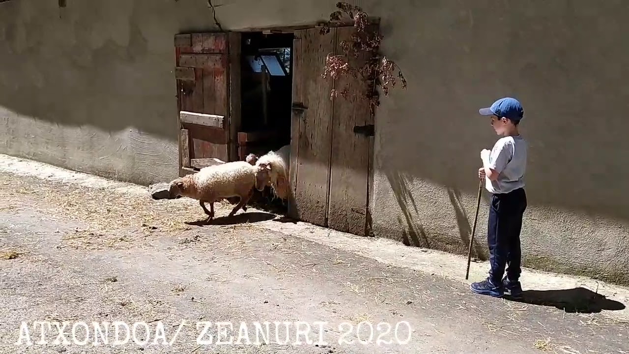 BASERRIA, ATXONDOA, ZEANURI