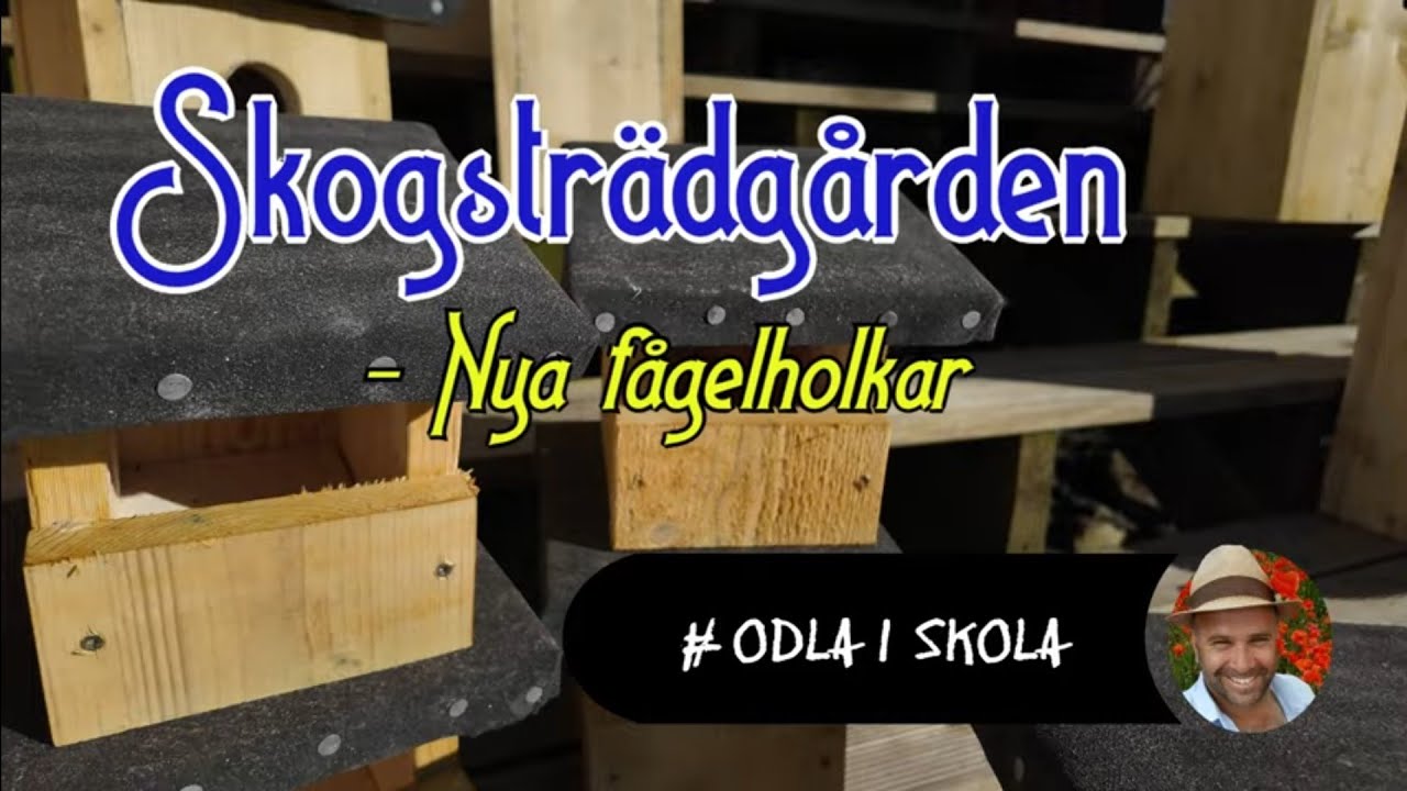 Sätter upp olika fågelholkar i skogsträdgården