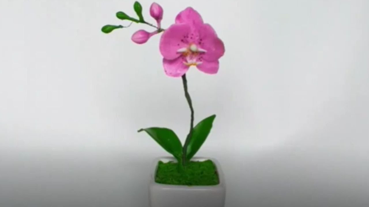Como Fazer Mini Orquídea De Biscuit
