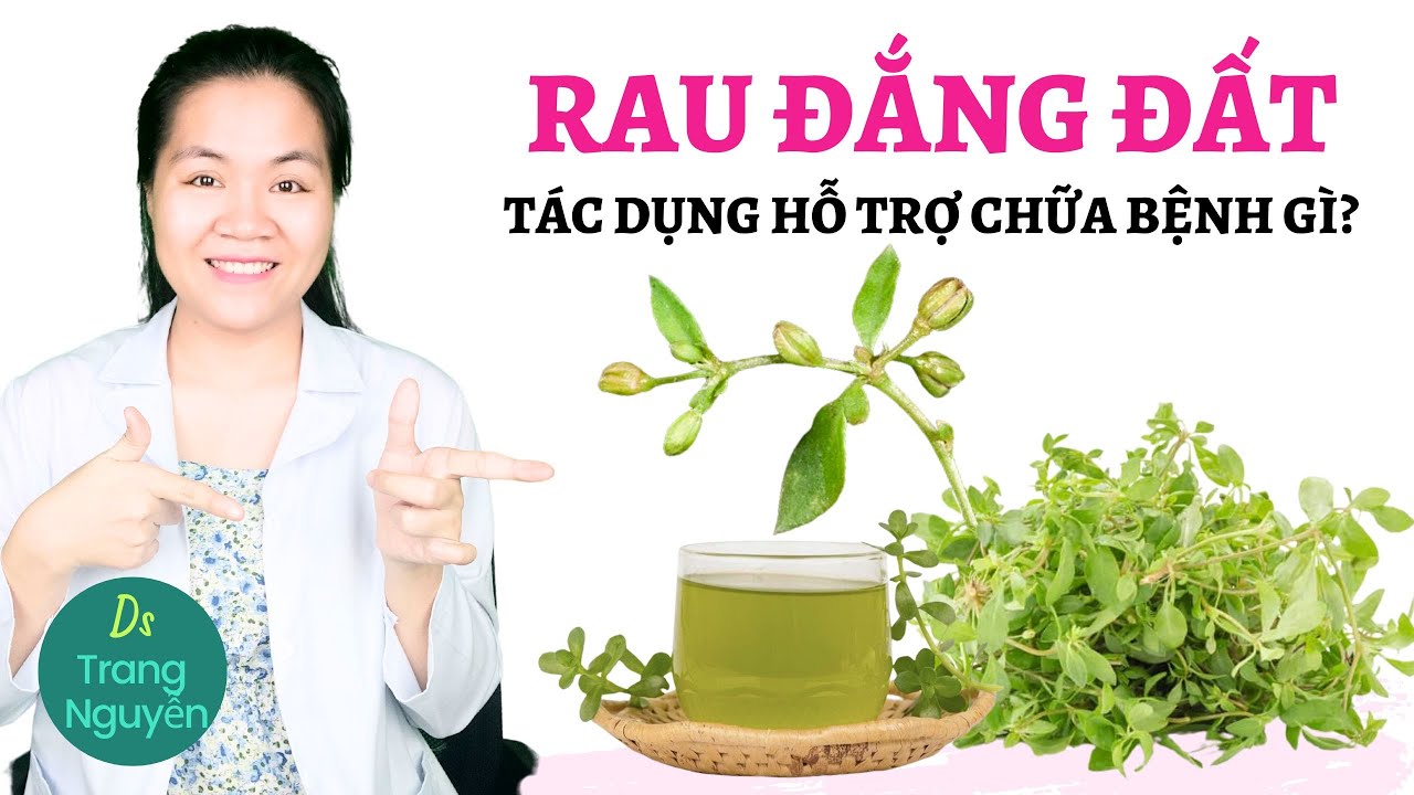 T&aacute;c dụng rau đắng đất gi&uacute;p hỗ trợ chữa bệnh g&igrave;? Sử dụng như thế n&agrave;o l&agrave; tốt nhất