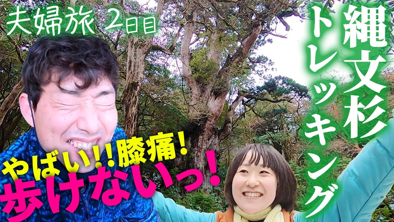 屋久島旅 #2｜登山ビギナー夫婦！縄文杉10時間トレッキングに挑戦！Yakushima