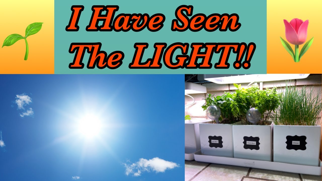 Sunlight vs Growlight | Which is Better