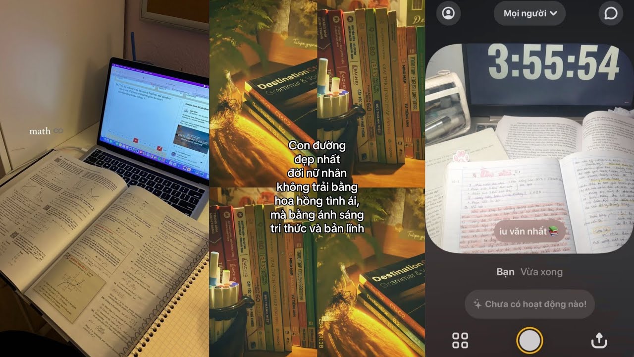 🌟 Tổng Hợp Caption Động Lực Học Tập | Boost Mood Study C&ugrave;ng TikTok 💡 #studyvibes #tiktok 