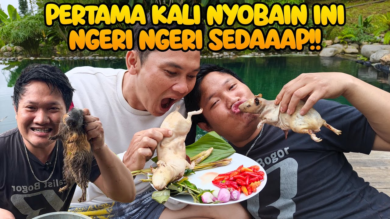 NGERI NGERI SEDAP SIH MUKBANG RICA-RICA MARMUT!!