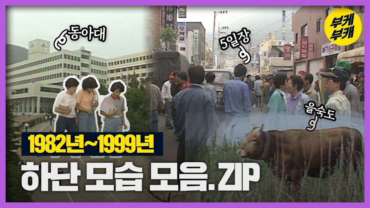 철새들의 서식지인 을숙도! 철새 모이 주기 해본 사람🖐🏻│Back to the 부산│하단│을숙도│하단5일장│에덴공원│철새│부산 추억여행│부산 과거 희귀 영상│KBS부산 영상아카이브