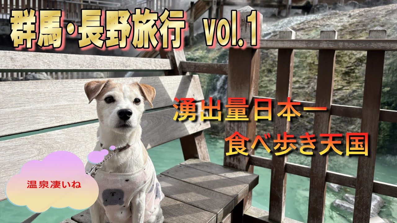 【群馬長野旅行vol.1】無料の足湯♨️顔湯♨️手洗い湯♨️まで、食べ歩き天国草津を満喫