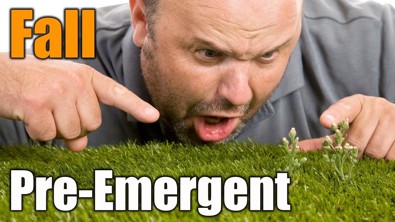 Fall Pre Emergents for Lawns