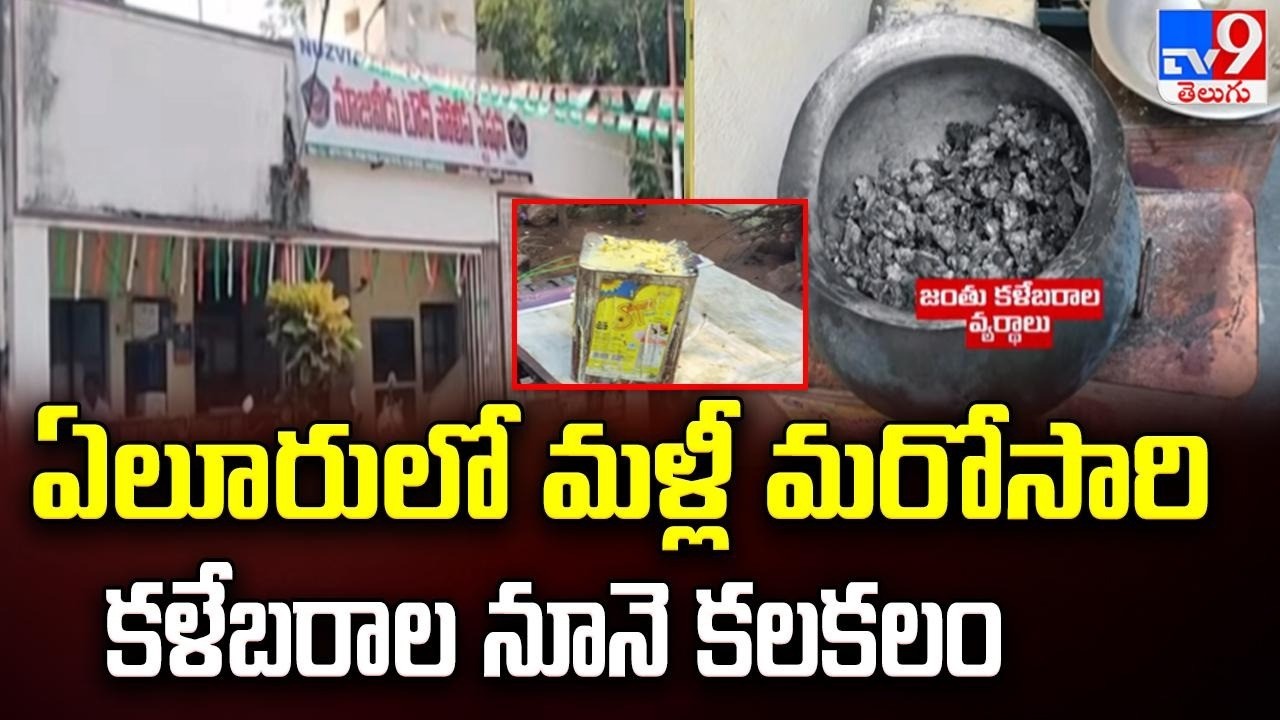 Animal Fat Oil Racket Busted in Eluru : ఏలూరులో మళ్లీ మరోసారి కళేబరాల నూనె కలకలం - TV9
