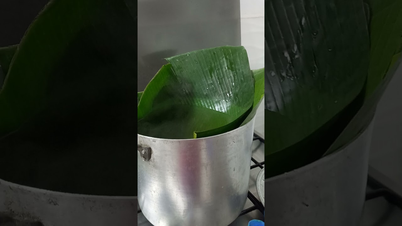 La mejor forma de Cómo preparar las hojas para las hallacas