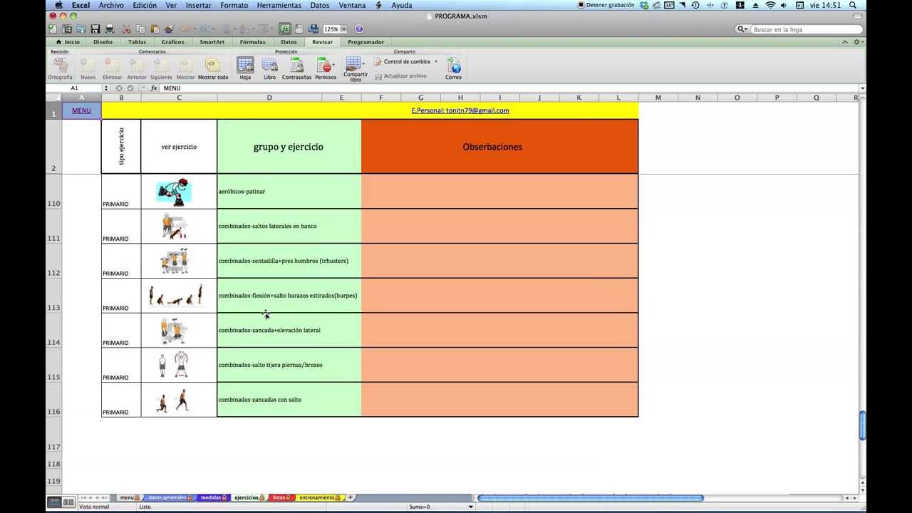programa de entrenamiento