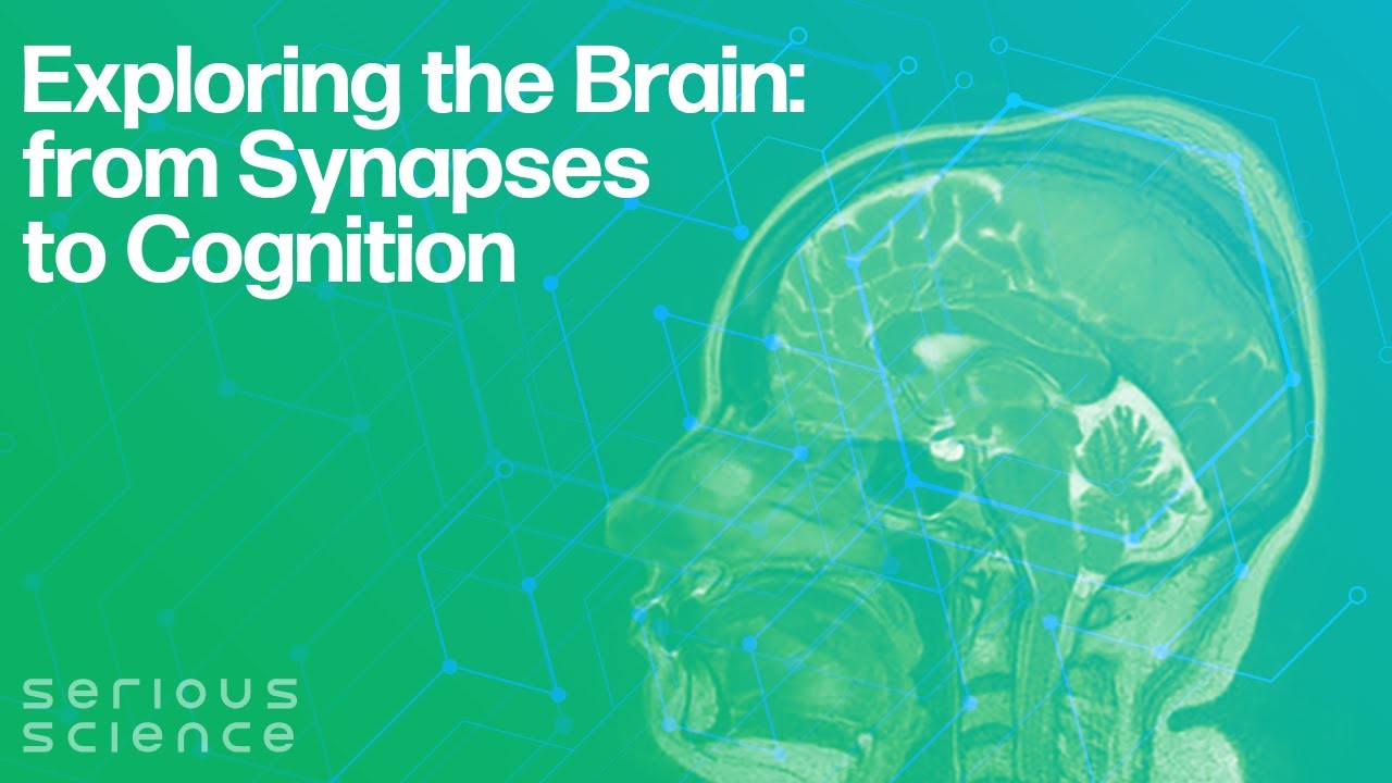 Exploring the Brain: from Synapses to Cognition