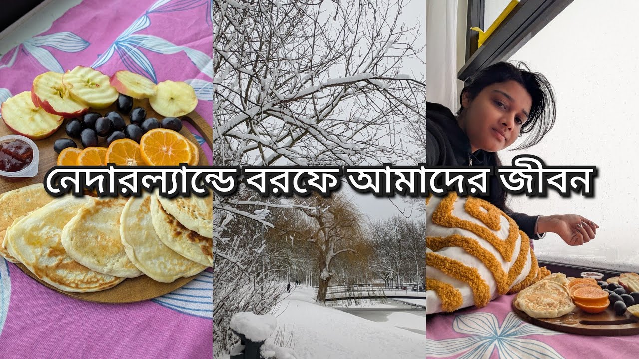 নেদারল্যান্ডে শীতকালে- 10 °Cআমাদের জীবন।পুরো নেদারল্যান্ড বরফের সাদা চাদরে আবৃত লেকের জল জমে গিয়েছে