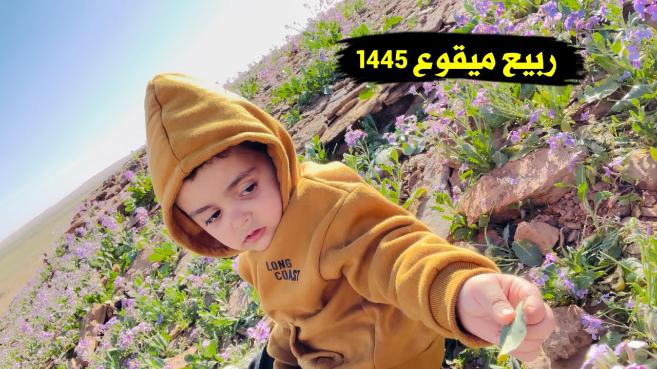 تمشيه بالربيع